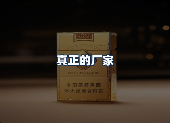 专业团队办公环境